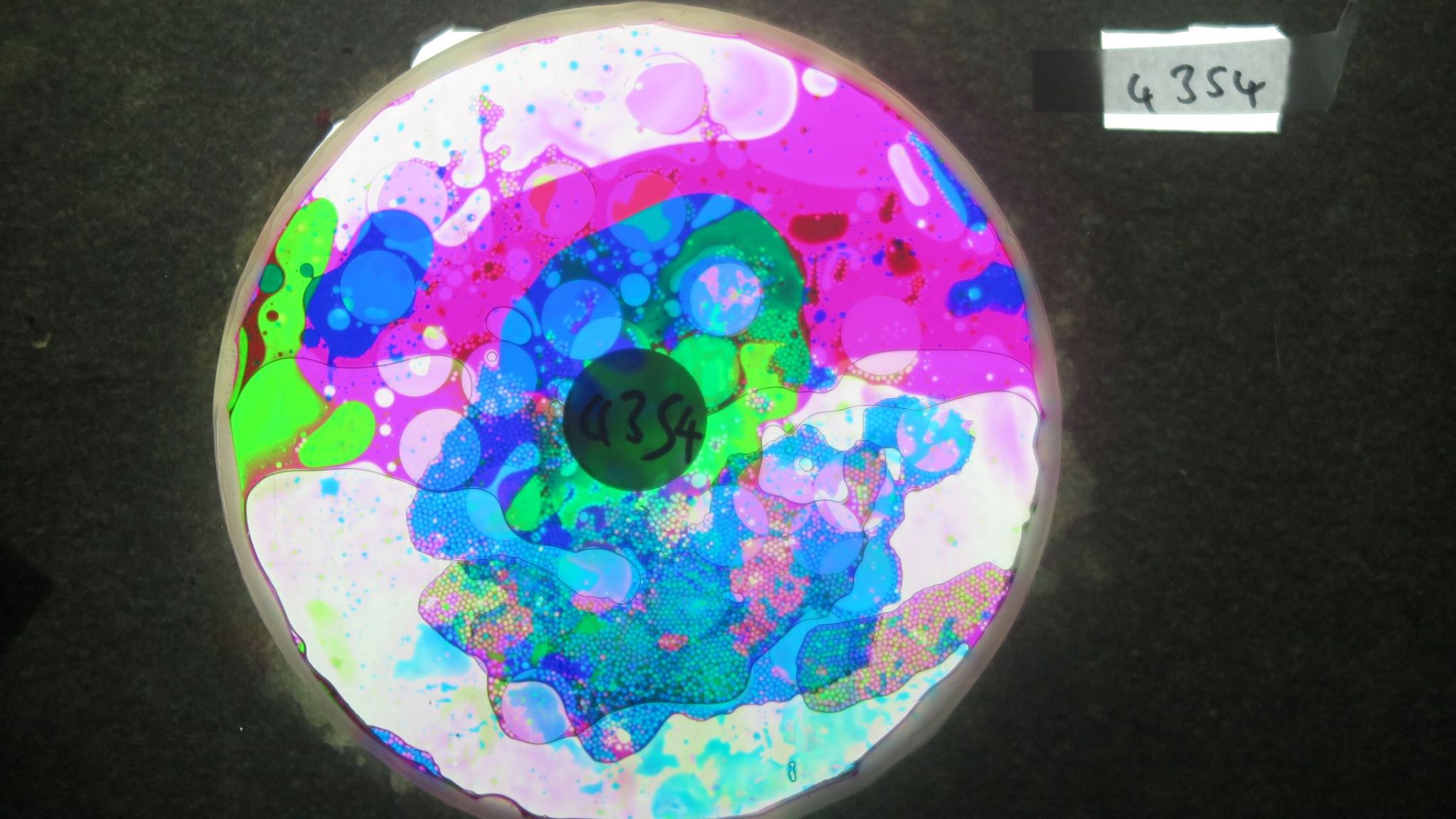 BV4354 bubble vision oil wheel